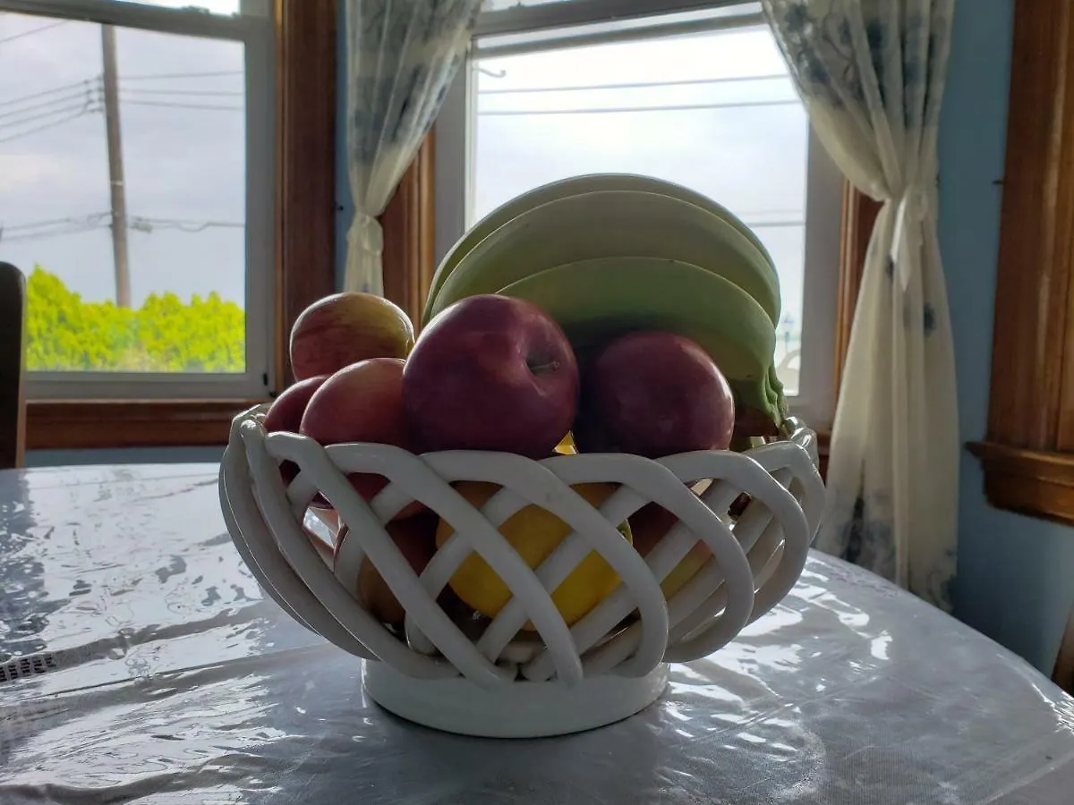 Harbor House Bed And Breakfast New York United States